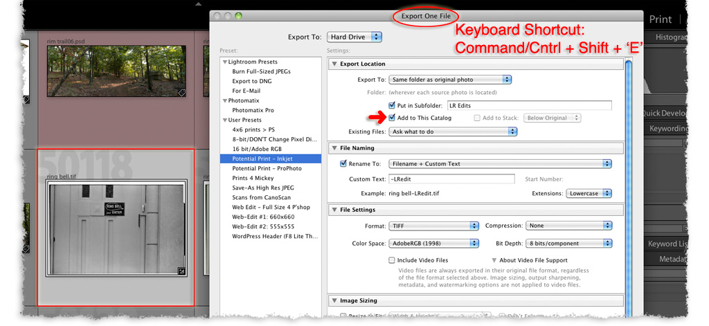 a lightroom export dialog