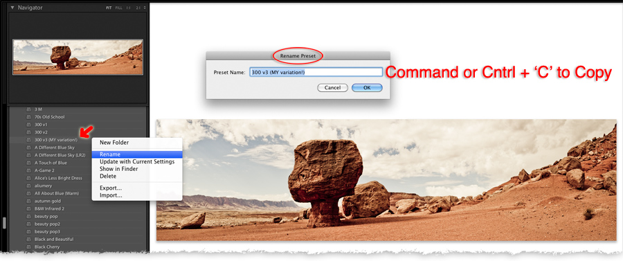 copy and paste a preset name into the live field
