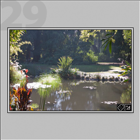 image number 29 thumbnail