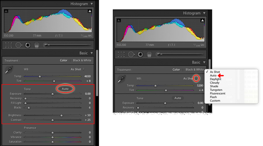 the auto settings in lightroom