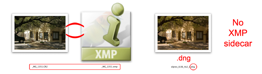 a comparison between raw and dng files