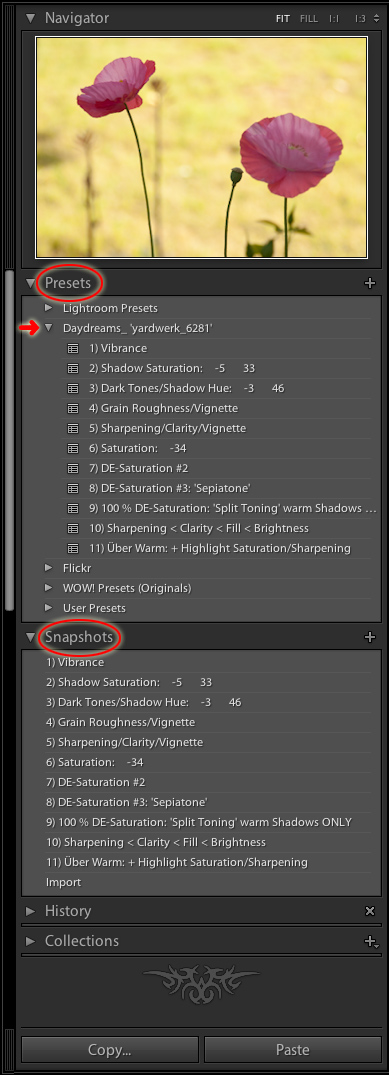 the presets and snapshots panels  in the develop module of lightroom