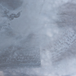 texture 0215 by michael maersch